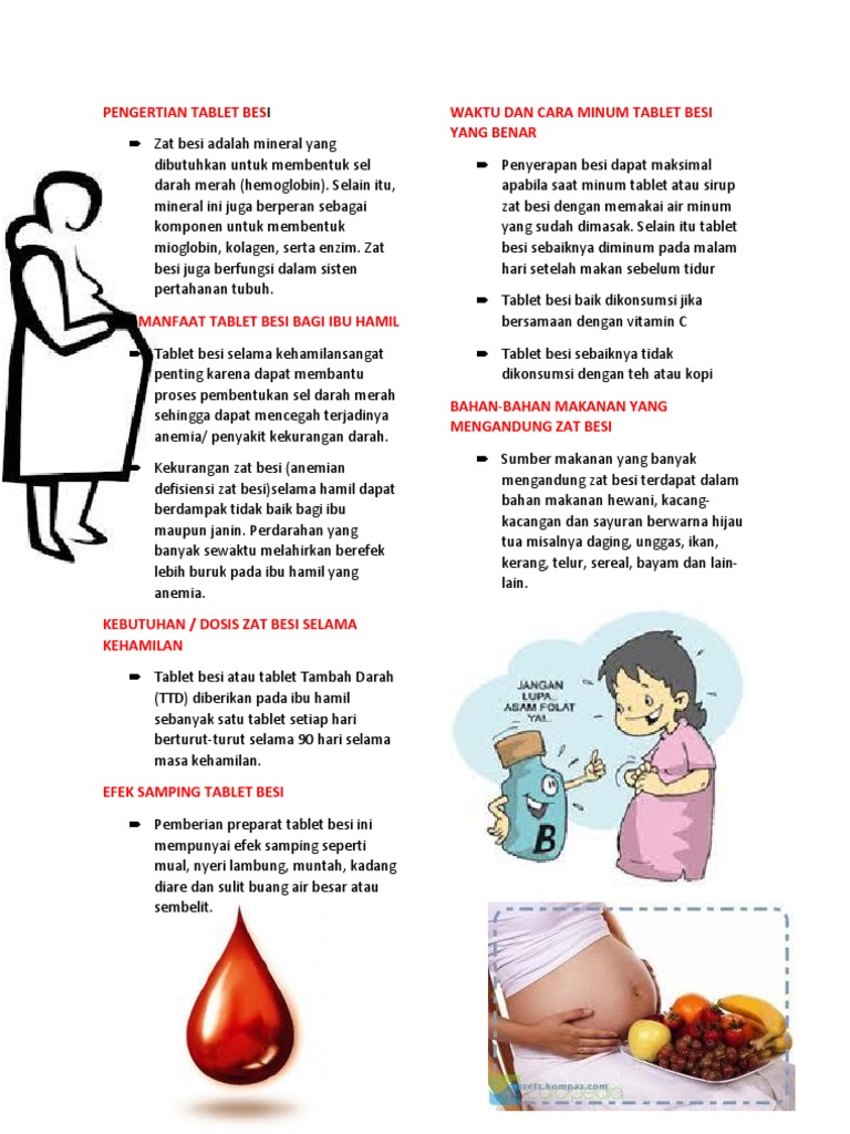 Leaflet Tablet Besi Pdf