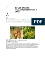 Botanica de Los Orishas PDF