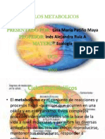 ciclosmetabolicos-101031105423-phpapp01
