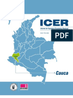 Economia Regional Cauca 2010 (1)