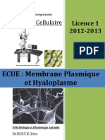 Cours Membrane Plasmique & Hyaloplasme Microsoft Office Word