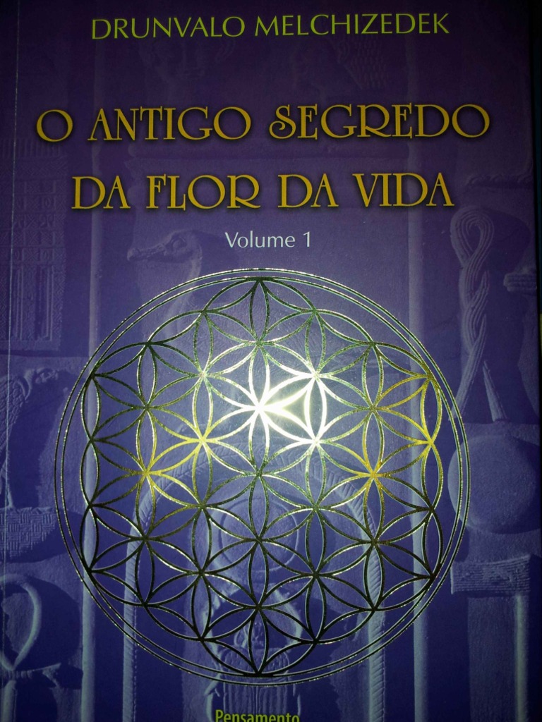 Flor Da Vida Vol 1 PDF Realidade Science