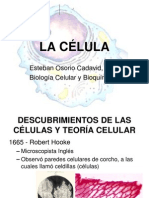 1. La célula 1