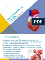 Vascularización del corazón