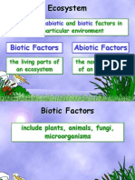Biotic Factors Abiotic Factors: Includes All and Factors in One Particular Environment