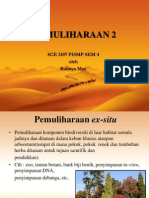 8 - Pemuliharaan 2