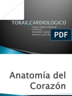 Exploracion Torax Cardiologico