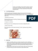 Giardiasis Jurnal