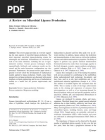 Mic Lipase Production PDF