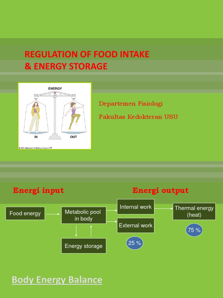 Food Intake Regulation and Energy Balance | PDF | Eating | Hypothalamus