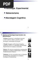 Aula Behaviorismo Cognitivo