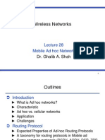 Wireless Networks: Mobile Ad Hoc Network