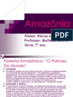 Amazônia