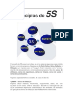 Princípios do 5S