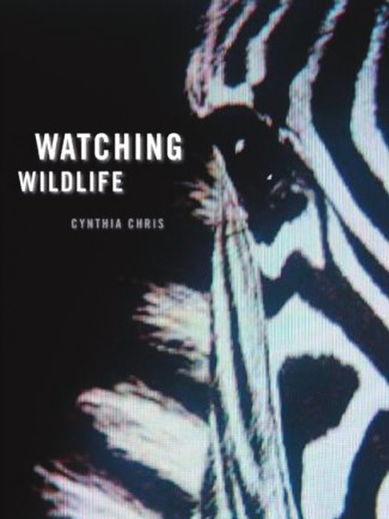 Watching Wildlife PDF Television