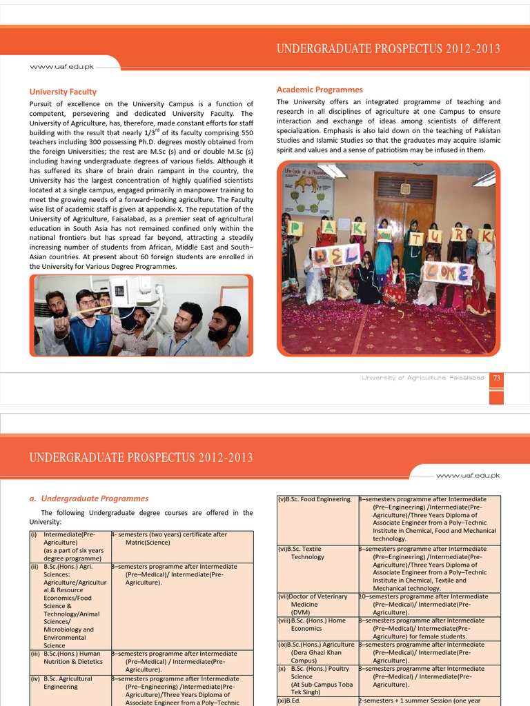 UAF Undergraduate Prospectus 2025 | PDF | University And College ...