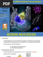Aula Ácidos Nucleicos - Duplicação do DNA e Síntese Protéica