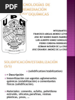 Tec. de Remediacion Expo Fran