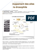 TD Développement Des Ailes de Drosophile