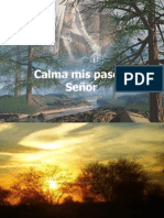 CalmamispasosSenor-1