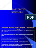 Maxillary Second Premolars