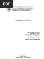 Trabalho de Psicologia do Desenvolvimento e Aprendizagem na Adolescência - Cópia