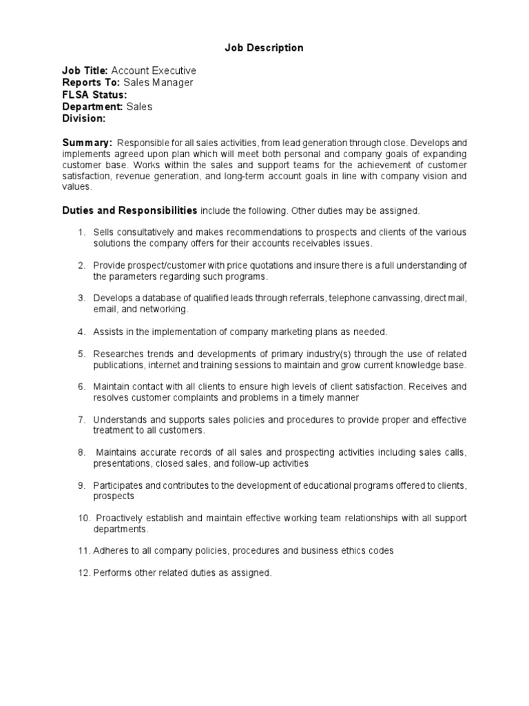 Account Executive Job Description | PDF