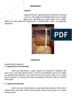 Argissolos, Latossolos, Espodossolos e Nitossolos: principais solos brasileiros