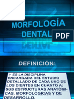consolidadodemorfologiadental-091203143008-phpapp02