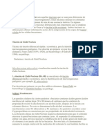60304673-Tincion-diferencial.pdf