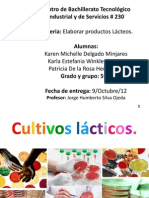 Cultivos lácticos productos lácteos