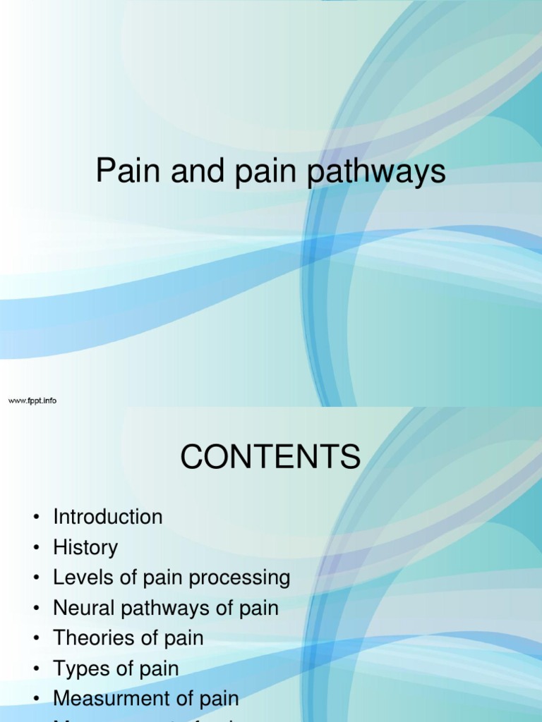 Pain and Pain Pathways | PDF