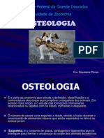 Aula 2 Osteologia