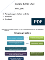 Mekanisme Gerak Otot Rangka - Nowo