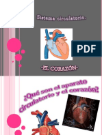 sistema circulatorio (2).pptx
