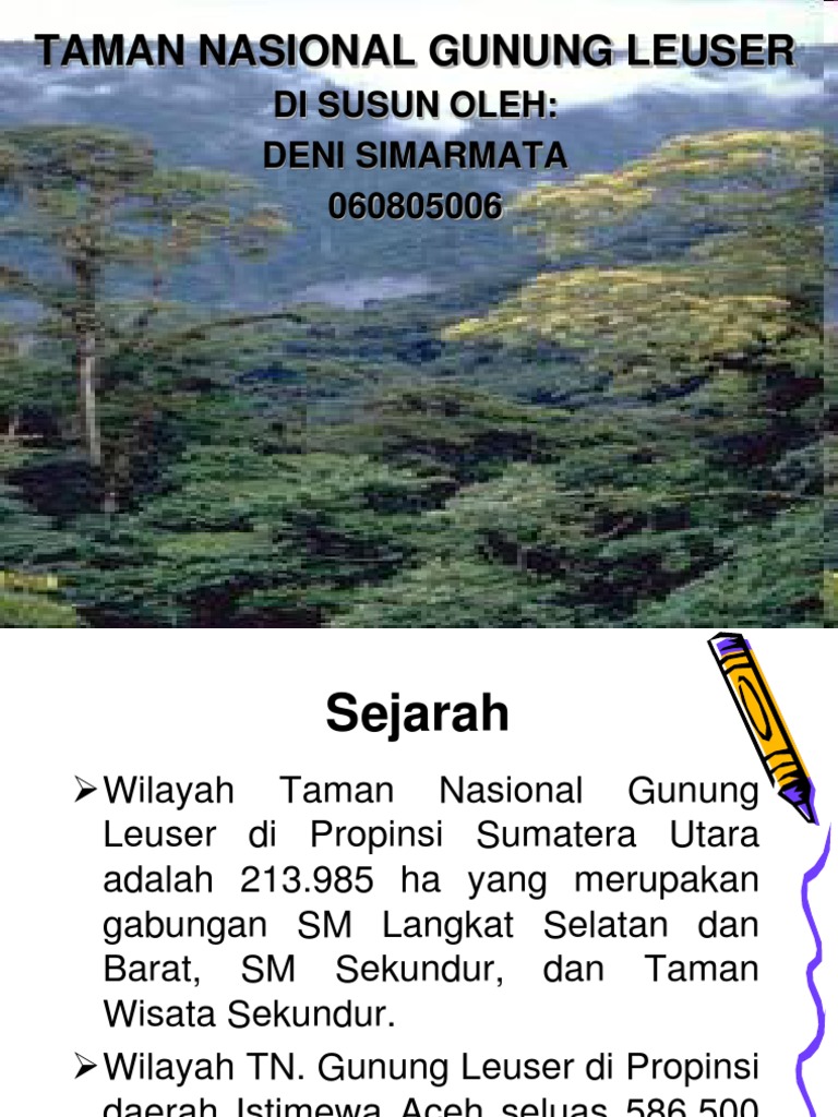 Taman Nasional Gunung Leuser Okeppt