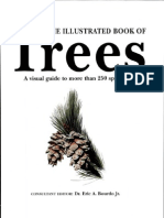 AB14D Bourdo e A The Illustrated Book of Trees Illyustrirovannaya