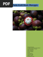 Download Xanthone pada kulit buah manggis by Aninditha Rachmah Ramadhiani SN126563210 doc pdf