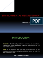 Environmental Risk Assesment: Seminar On