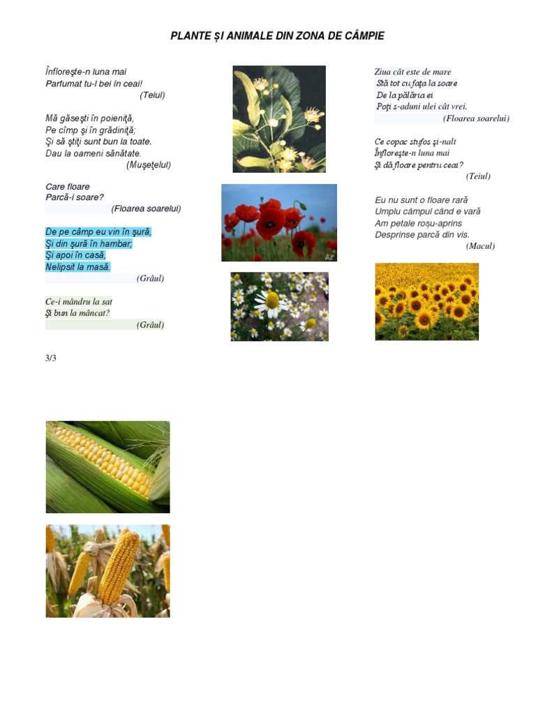 Plante Si Animale Din Zona de Campie (Portofoliu 2)