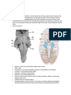 nbme 17 pdf download
