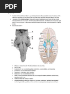 nbme 17 pdf download