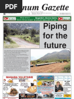 Platinum Gazette 22 February 2013