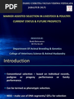 Download MAS  review - Powerpoint by Kush Shrivastava SN126602308 doc pdf