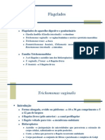 Giardíase e Tricomoníase