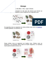 Níveis de Organização