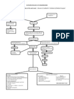 Hemorrhoids Pathophysiology and Treatment