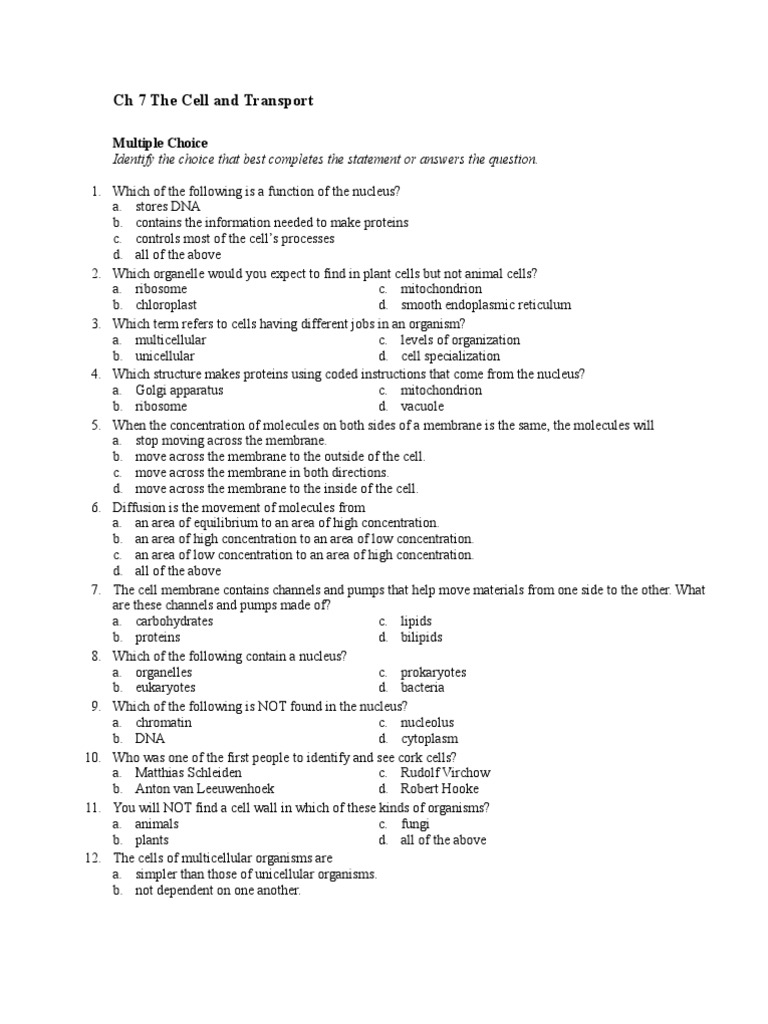 CH 7 Part I TEST | PDF | Cell (Biology) | Cell Membrane