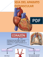 Semiologia Del Aparato Cardiovascular PDF