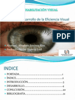 Unidad V.eficiencia visual.pptx